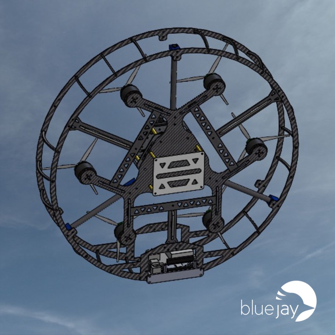 Blue Jay Eindhoven tweet media