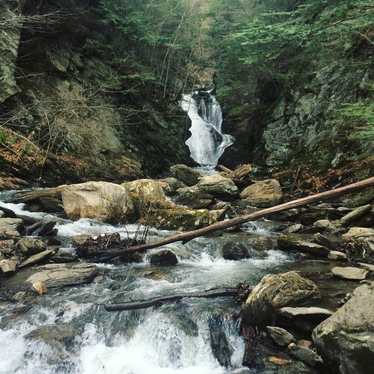 happy five years to our first album Evergreen 💚 hope to see y’all with some new music next year