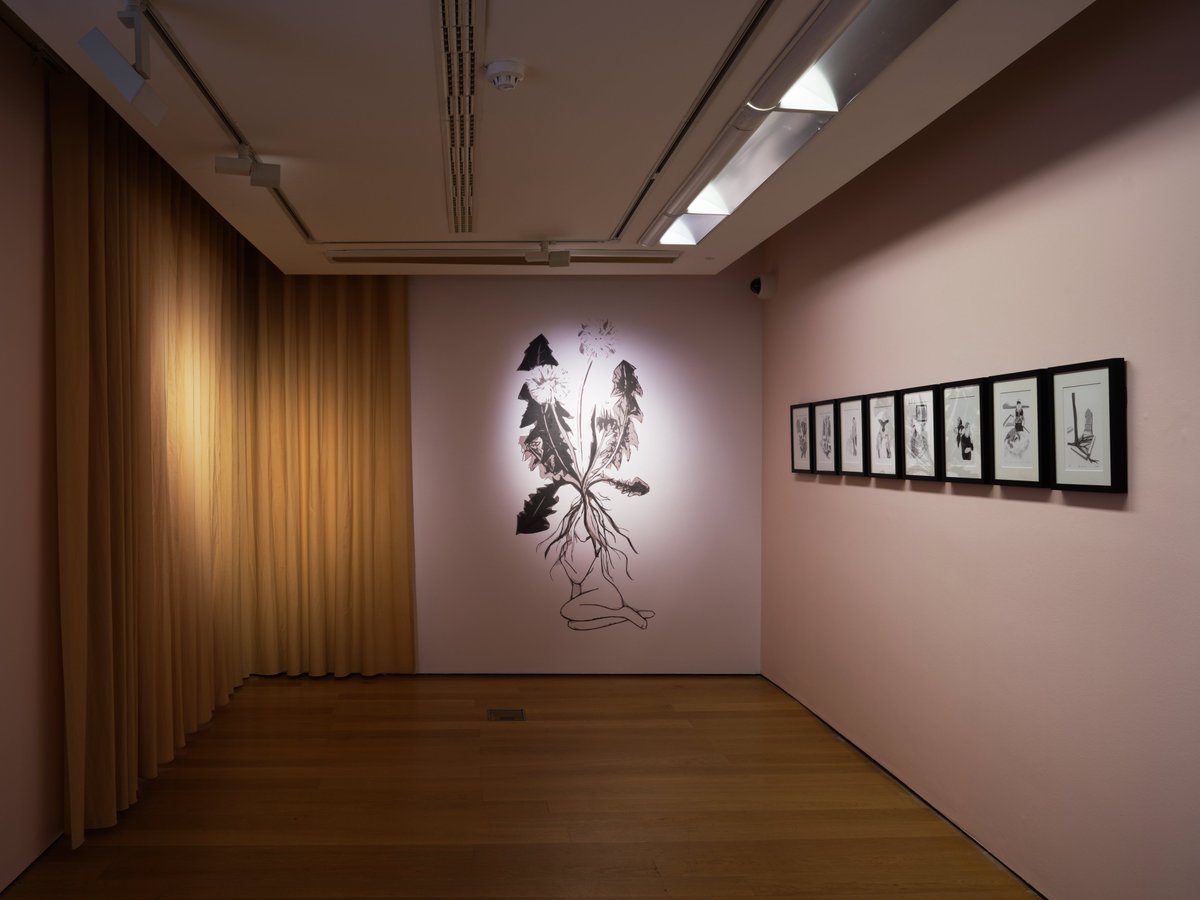 IMMAIreland's tweet photo. #IMMATalksOnline Join us this Wednesday, 8th Dec at 6.30pm for ‘The #NarrowGate of the Here-and-Now: Curator’s Talk Series’. The second talk of the series will be led by Claire Walsh, Assistant Curator, Collections. To register your place visit: https://t.co/GitQCsKtr0 #IMMA30 https://t.co/rlUZOImA84