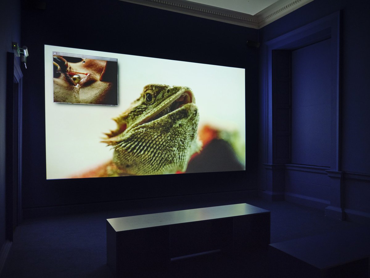 IMMAIreland's tweet photo. #IMMATalksOnline Join us this Wednesday, 8th Dec at 6.30pm for ‘The #NarrowGate of the Here-and-Now: Curator’s Talk Series’. The second talk of the series will be led by Claire Walsh, Assistant Curator, Collections. To register your place visit: https://t.co/GitQCsKtr0 #IMMA30 https://t.co/rlUZOImA84