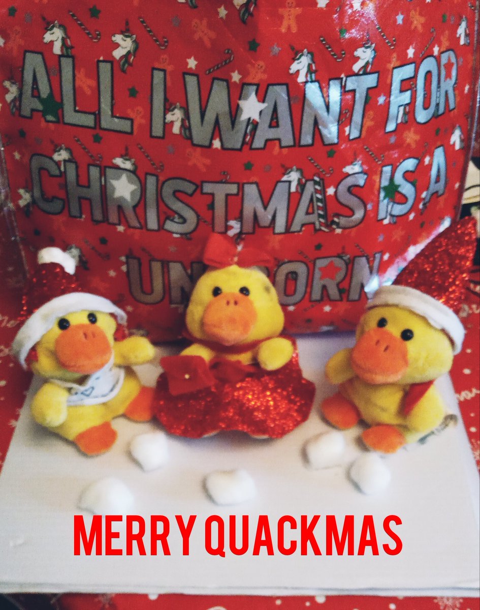 jammyamber's tweet photo. @StLensCEAcademy our ducks got #festiveready over the weekend 🦆😍🎅🤶 https://t.co/dp0bW7m2g5