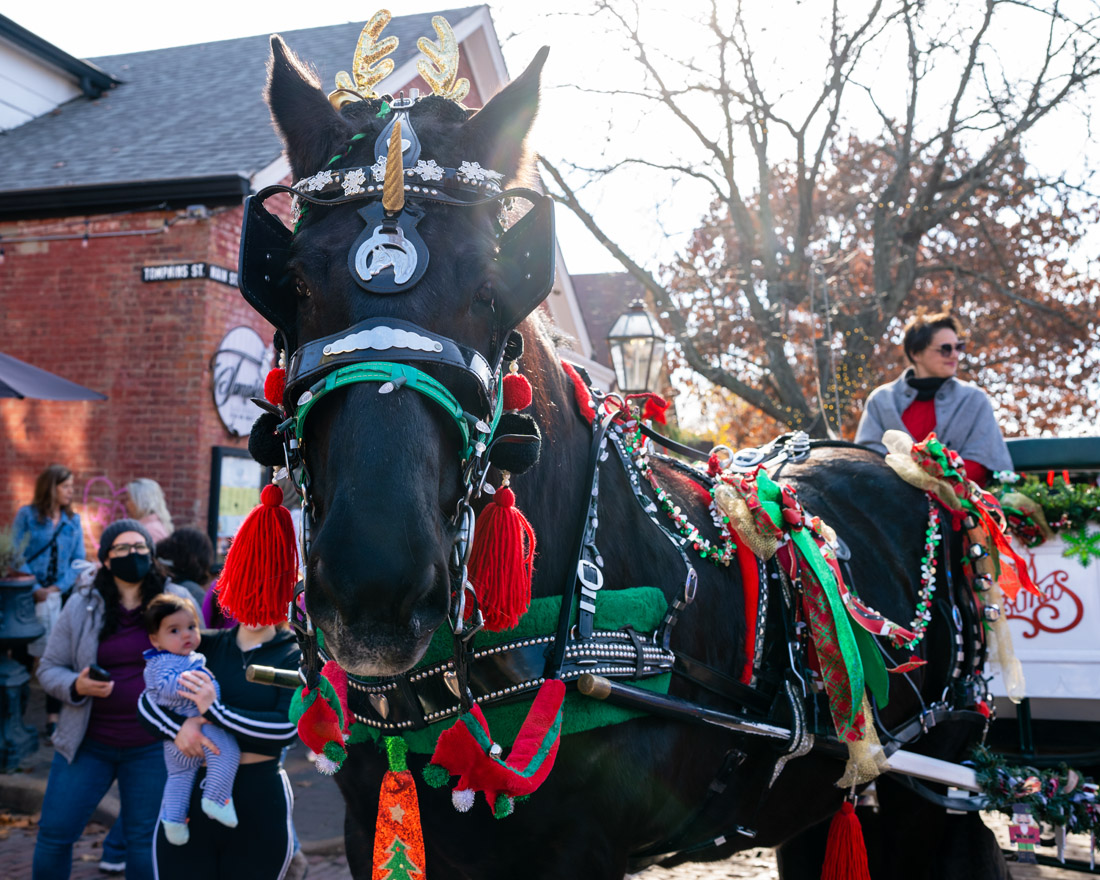 ImagesbyTDashfi's tweet photo. This past weekend the temps were in the 70's for a couple of days which made the St. Charles Christmas Traditions even better! @discoverstc #discoverstc #streetphotography #StCharlesMissouri #holidaytraditions https://t.co/0OnPOG6lx3