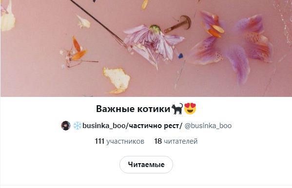 Dark_Swan1's tweet photo. И с сегодняшнего дня этот аккаунт принят элитный отряд важных котиков. Спасибо, @businka_boo 😘😘😘 https://t.co/Oe3bbQwmRx