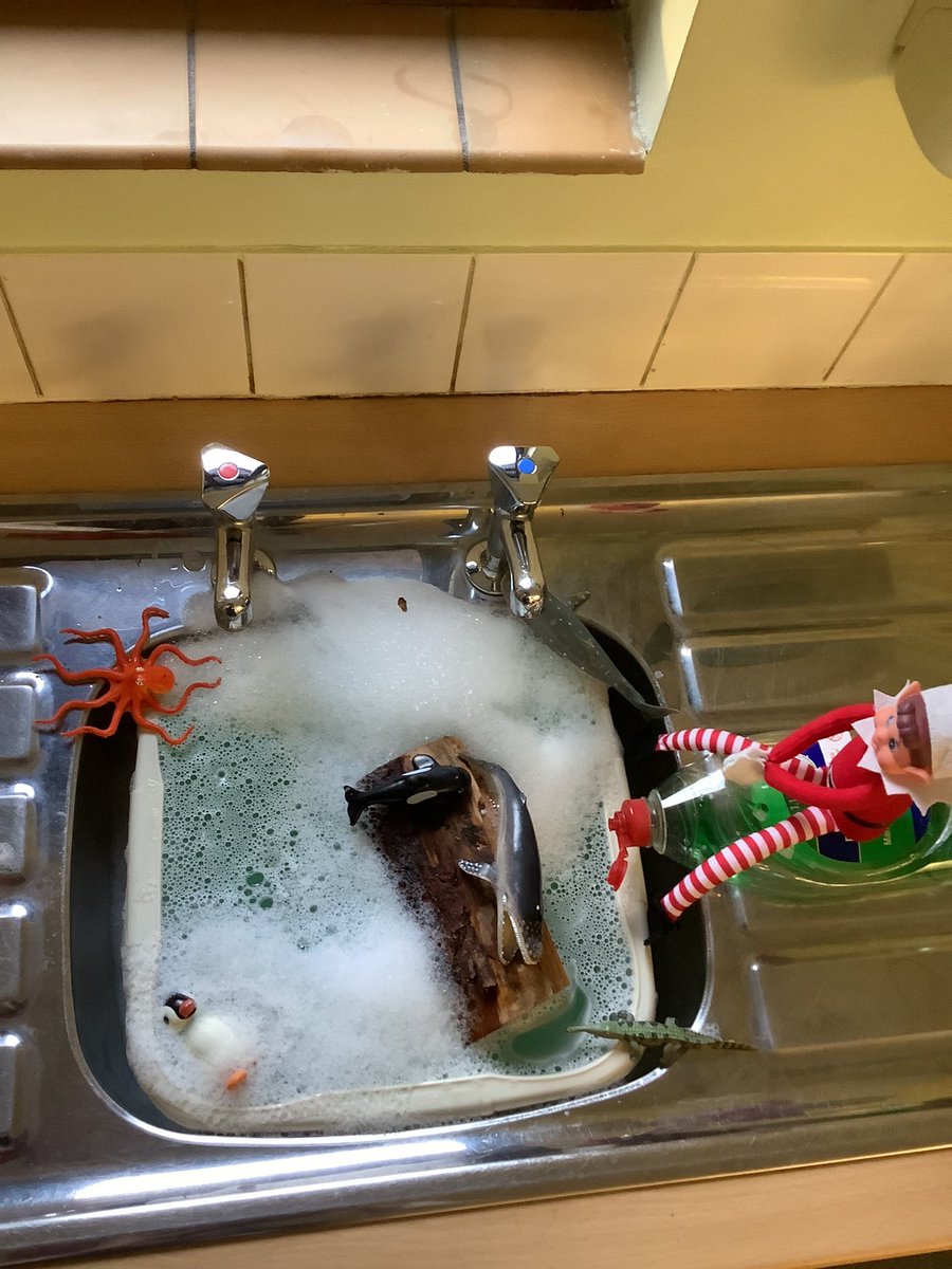 PuritonPrimary's tweet image. Ruby Class have had a cheeky visitor since the beginning of December. What do you think Buddy will get up to tomorrow? #RubyClass #elfontheshelf