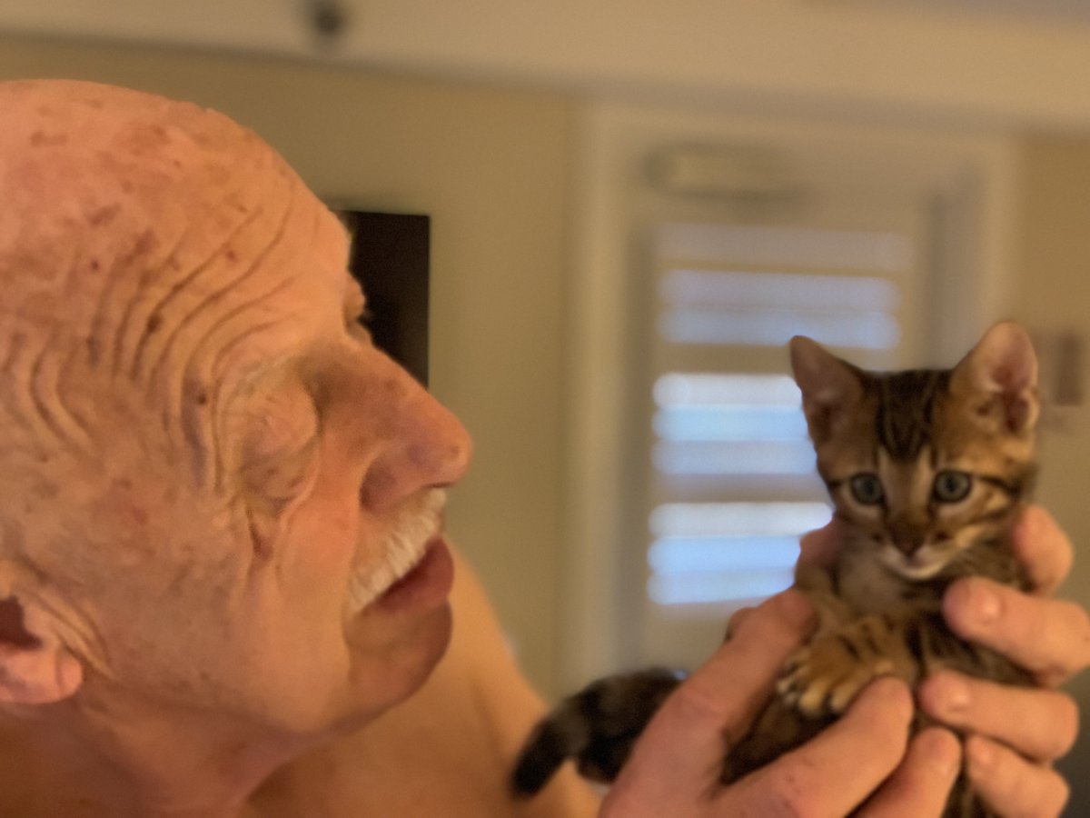 DrPol's tweet photo. Saint Nicholas says the Pols are fine…
They have a new feline! 😻

What should we name her? https://t.co/YqTKIuNKgr