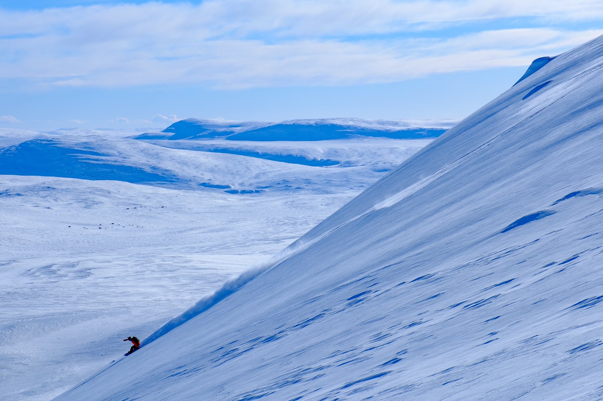 caroline-kealy-caroline35040-twitter