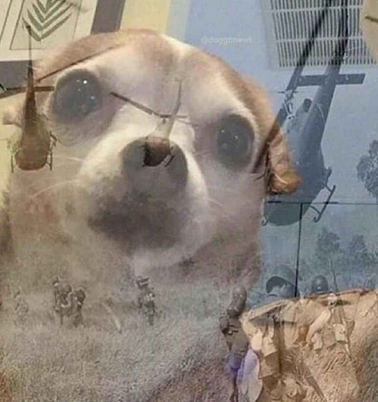 —067 (@number_067_) on Twitter photo 