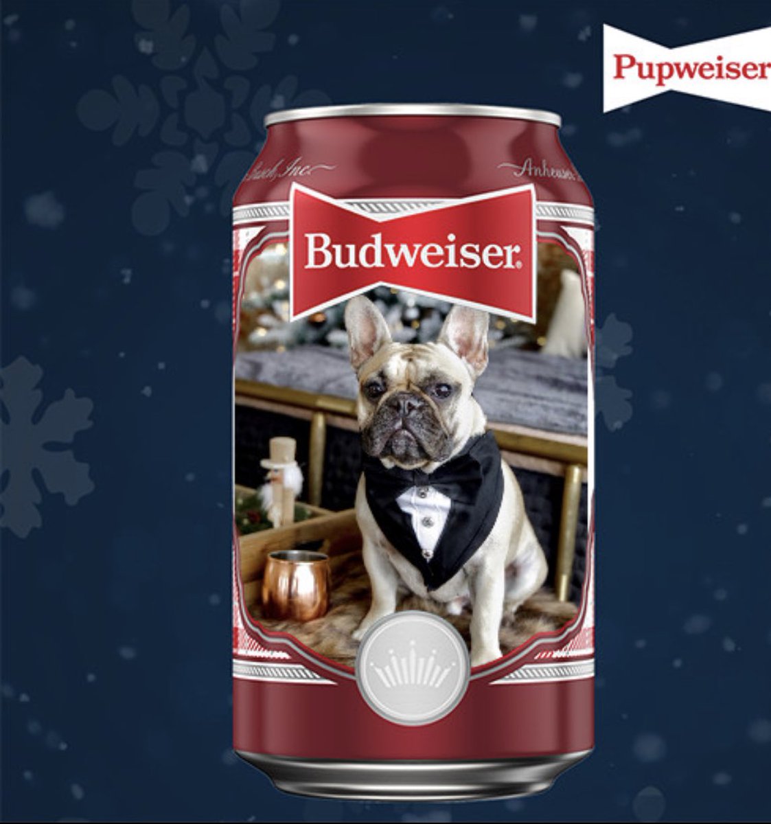 MayorWilbur's tweet photo. Do you think I should be the next winner @Budweiser #PupweiserContest ? https://t.co/7B8CdOapTy