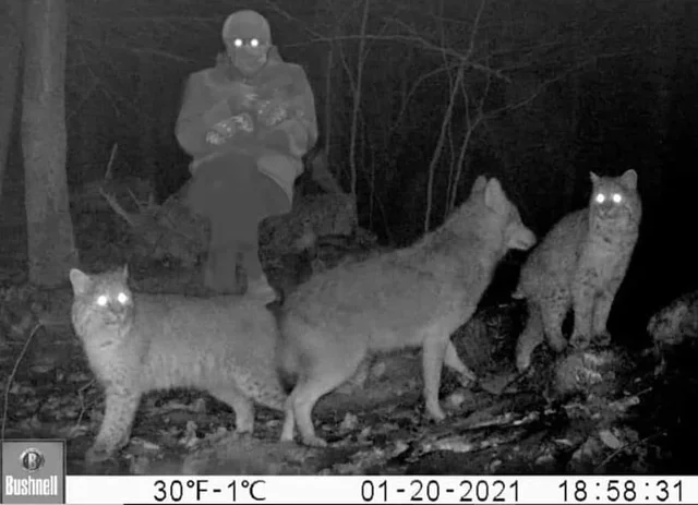 CampingEdition's tweet photo. Last night's trail cam
#campingnight #campusnight #nightcamp #campnight #campfirenight #camparinight #campaniabynight #nightfallcamp #campobassobynight #campoutnight #campuslifenight #campingouttonight #campidogliobynight #nightcamping #overnightcamp #campfirenights #campingnight https://t.co/iCnrDr52nE