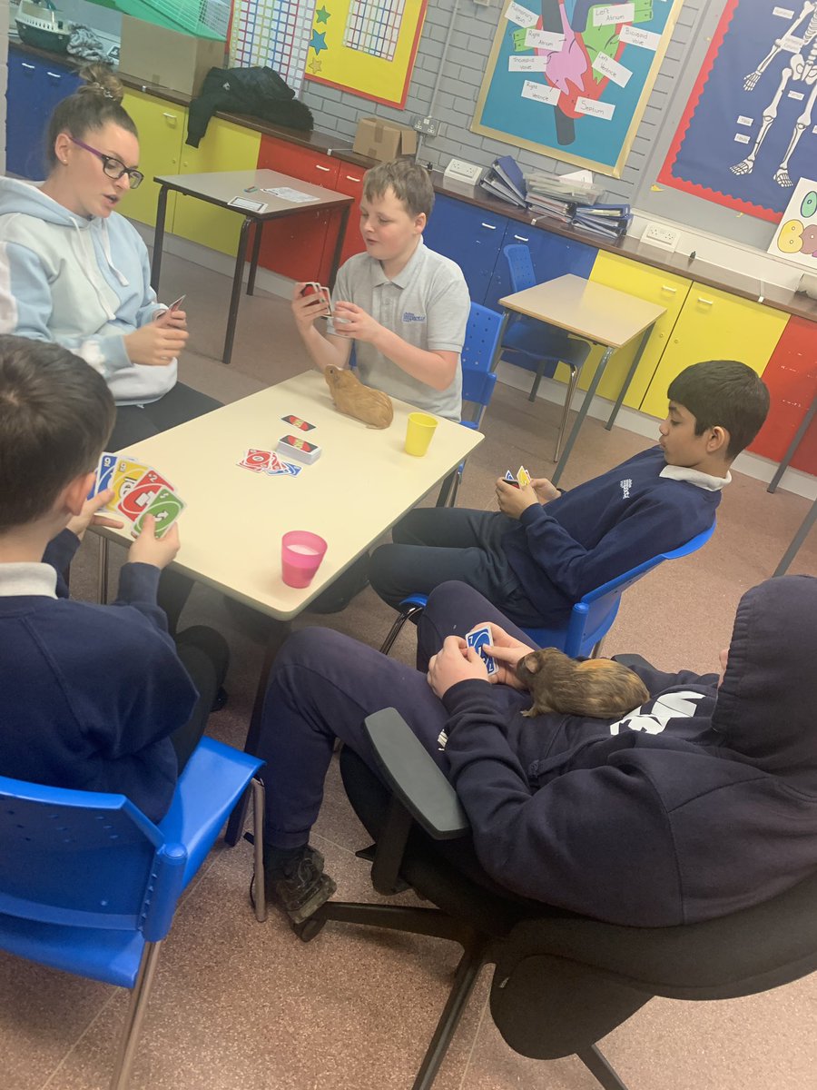 KatyCol84129639's tweet photo. A lovely afternoon with the year 8s all playing Uno with the guinea pigs 🐷 😄 #uno #classbonding #teambuilding @bolton_pru @LeverParkSchool https://t.co/g4Rl6sgDZf