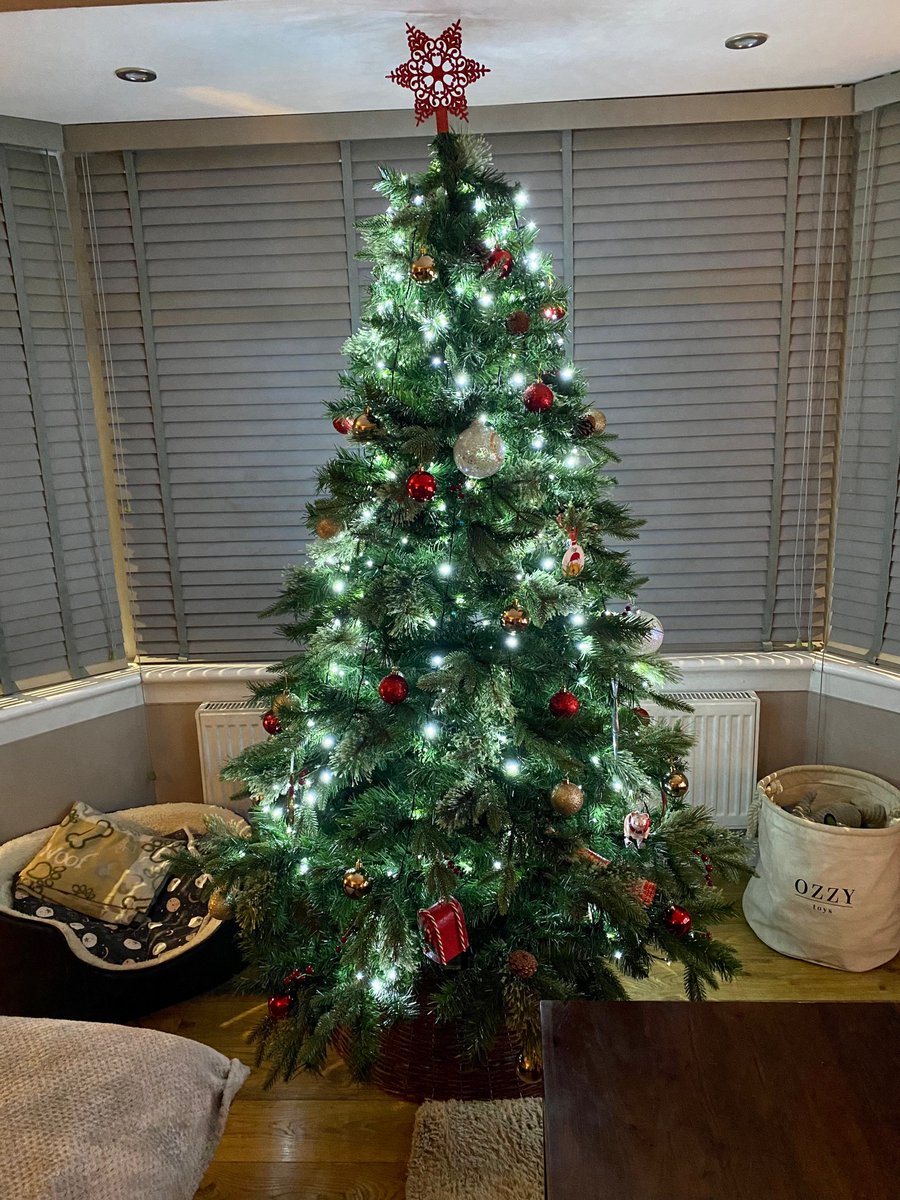 MissAuld_CPS tweet media