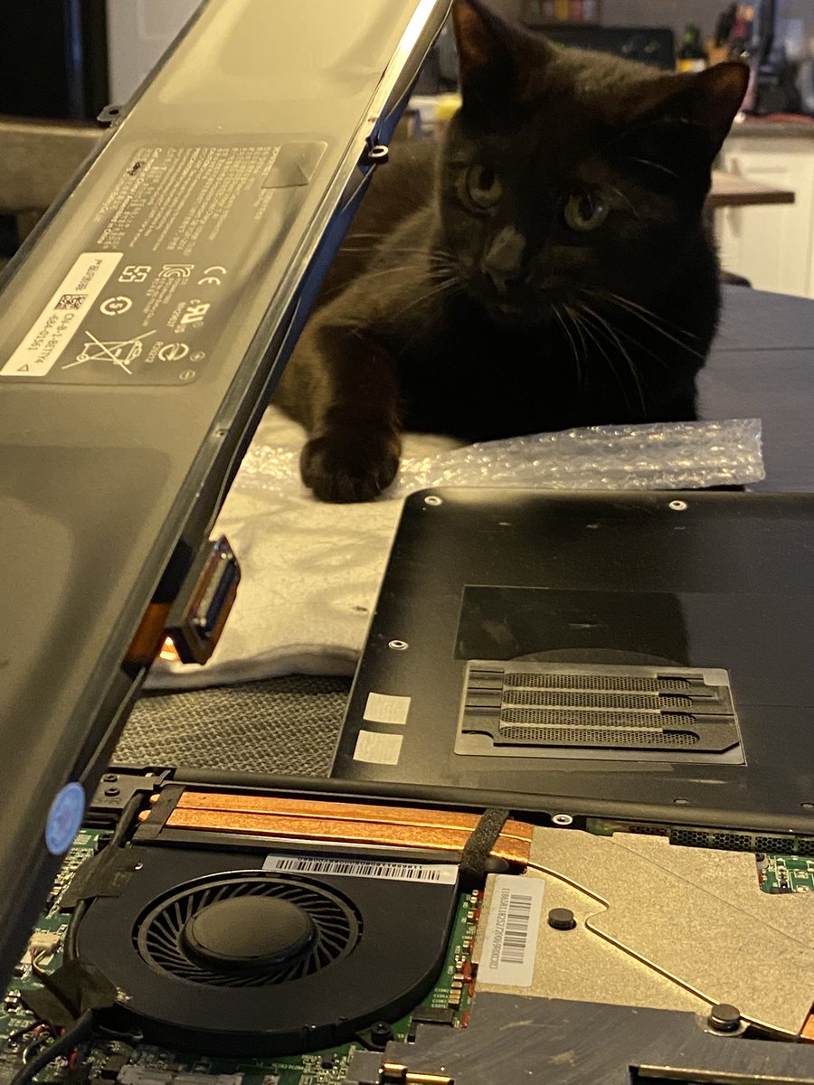 My assistant is eager but not always helpful