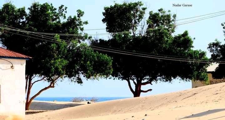 #Baargaal_Puntland_Soomalia
📸🙏👏🙋‍♂️