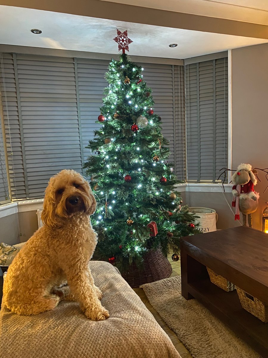 MissAuld_CPS tweet media