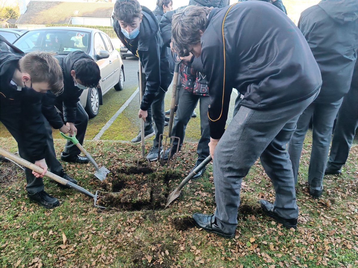 As part of The Crocus Project our D4 students planted our crocuses that will bloom in time for International Holocaust Memorial Day (27 January). Thank you @HET_Ireland for letting us be part of this incredible programme 💐💐 @ClonkeenSchool @TYUpdated @tydotie @YourTYNews
