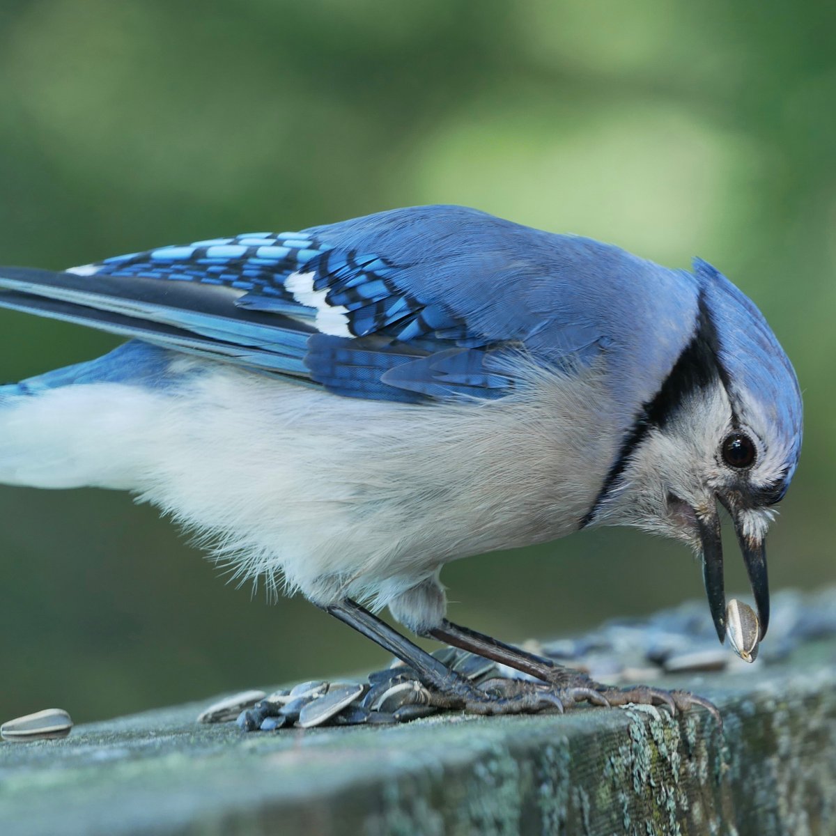 Barbara Coll tweet media