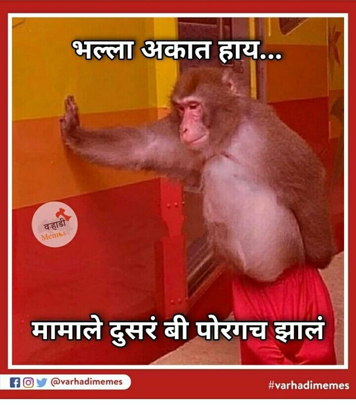 Gavatthi's tweet image. ...भल्ला अकात हाय...

#वऱ्हाडी #गावठी #व
@VarhadiMemes