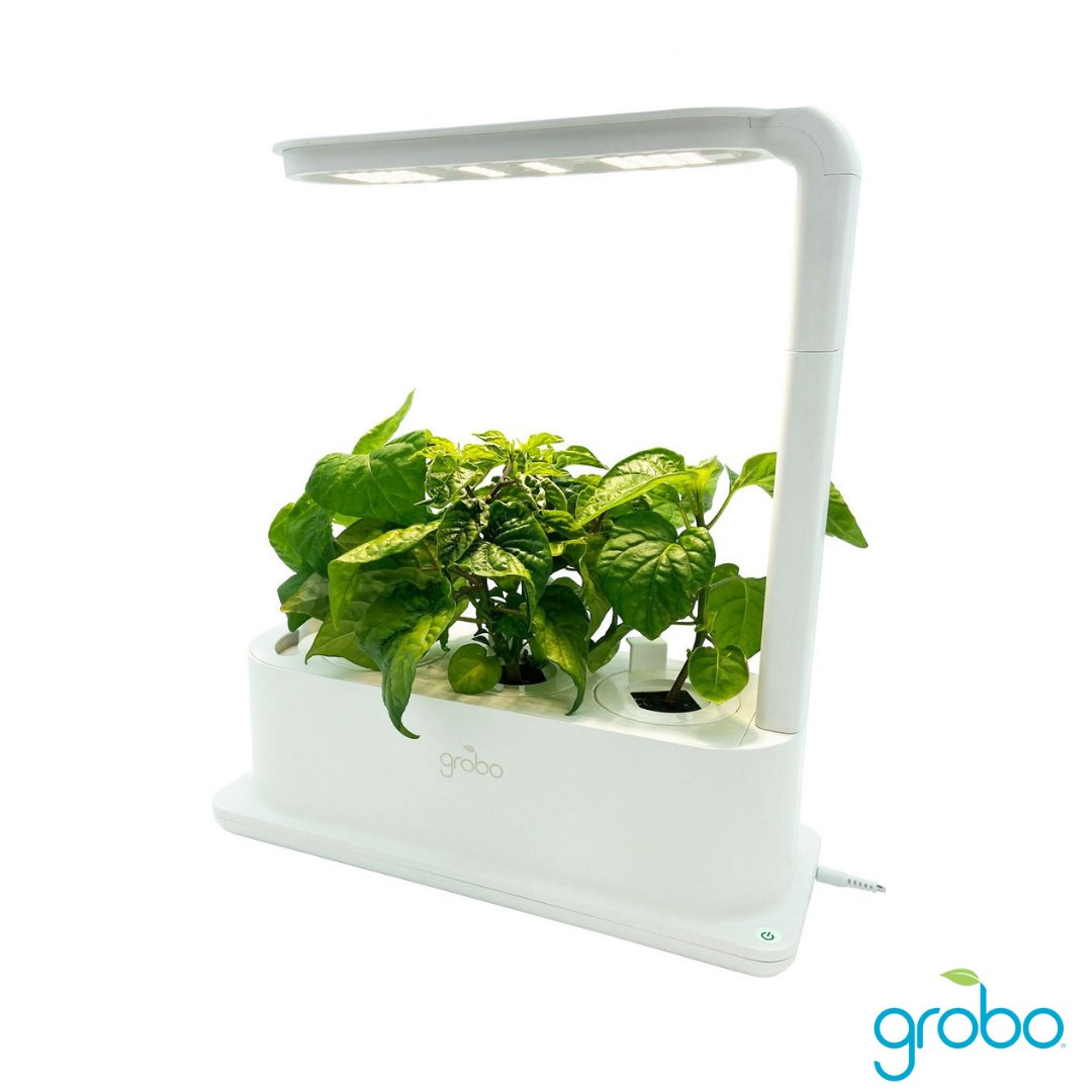 Looking for the perfect gift any plant grower would love?  

The Grobo Start is the perfect gift for experienced growers and new growers alike.  It can be used alongside your Grobo grow box to shave time off each grow, or use it on its own to grow any type of plants you like.