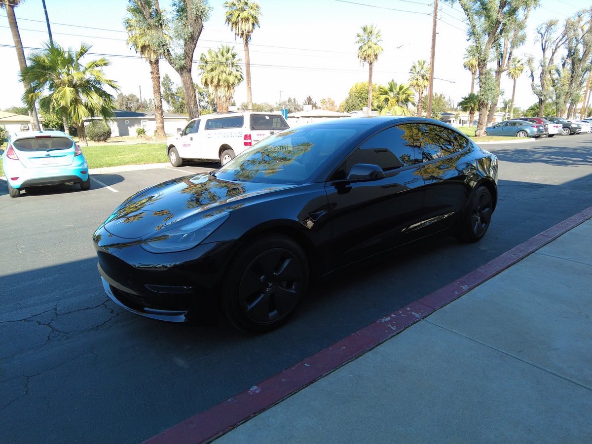 SundownWindow's tweet photo. Model 3 Monday! #MondayMotivaton https://t.co/eguo81asn8