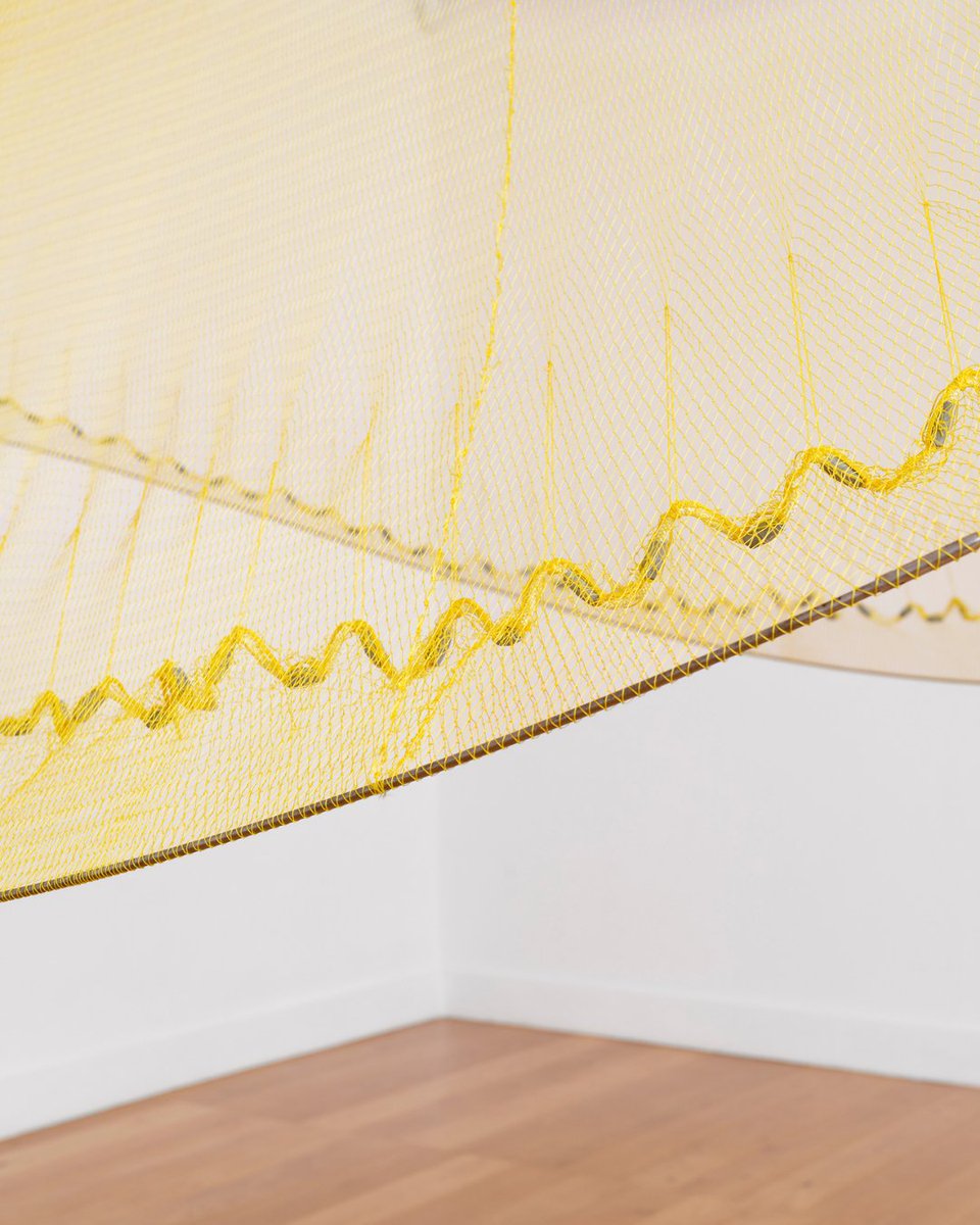 Instituto de visión tweet media