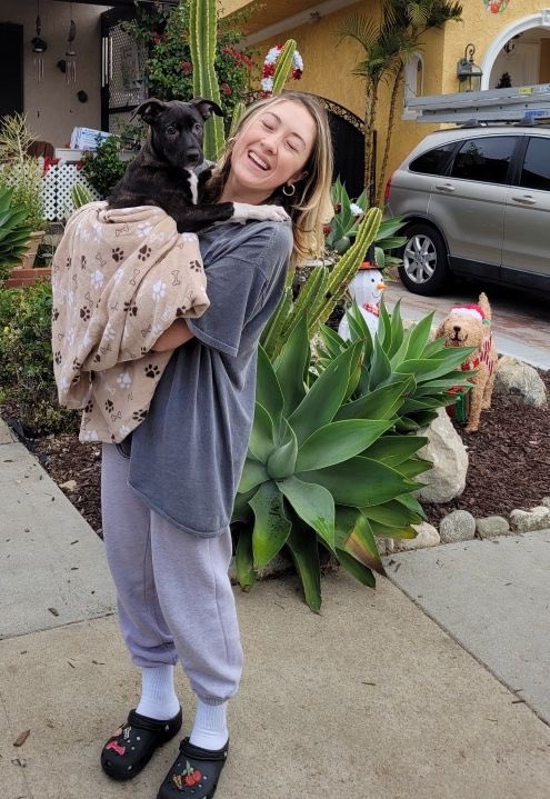 iswmp's tweet photo. Rogue looks pretty comfy with her new mom.. donβt you think? Happy adoption to this precious pup! She finally has the home she deserves π₯° #gotchaday #rescue #iswmp πΎ https://t.co/jblEAlMjP2