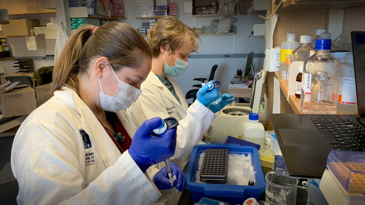 SinaiBrain's tweet photo. WORKING HARD at the #RussoLab bench, capturing some last minute data for #ACNP2021! Want to learn more about Lyonna Parise, PhD & @FlurinCathomas' research? CHECK THEM OUT👇👇
Parise (M103) TODAY 5:30PM
↗️https://t.co/EvDpq8R1Pk
Cathomas (W79) WED 5:30PM
↗️https://t.co/EvDpq8R1Pk https://t.co/qQ61hHpy7V