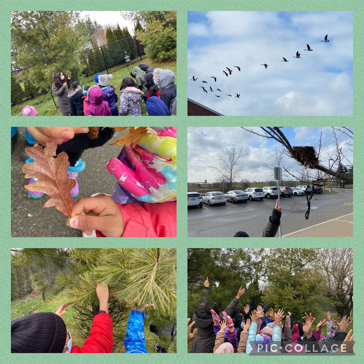 Mrs_Maks_Class's tweet photo. ✍️Nature Journaling with @sabrina_ZI_ @JamesGrieveLLC. Thankful for the beauty and the learning opportunities nature and “Mother Earth” bring to the SS @JamesGrievePS. Walk, stop, look, wonder, ask questions and have a heart filled with gratitude♥️! @PeelSchools https://t.co/wOOvCVF061