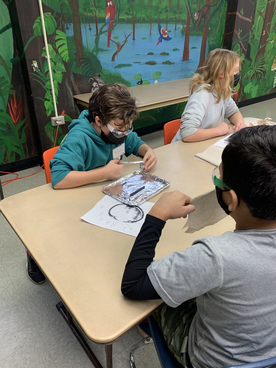 MrsRevak's tweet photo. We had a great day at the Science Center! We dissected a sheep’s eye, made telescopes that helped us read upside down and, of course, said hi to our animal friends. @AvenueOgden https://t.co/nh8rFkbF3q