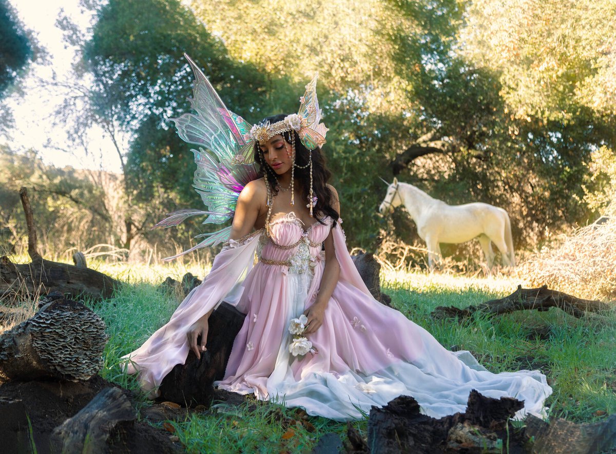 Master Class Photographers tweet media