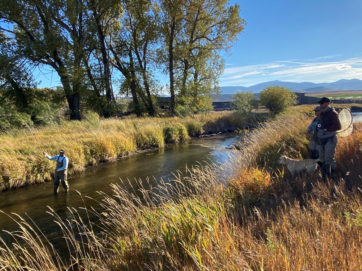 msrerealty's tweet photo. Our broker @TimothyShanahan keeping it reel in Montana 🎣

He’ll tell you, fly fishing &amp; real estate have a lot in common. Takes a whole lot of patience, determination, &amp; above all - practice, practice, practice. https://t.co/n2kJju6QnU