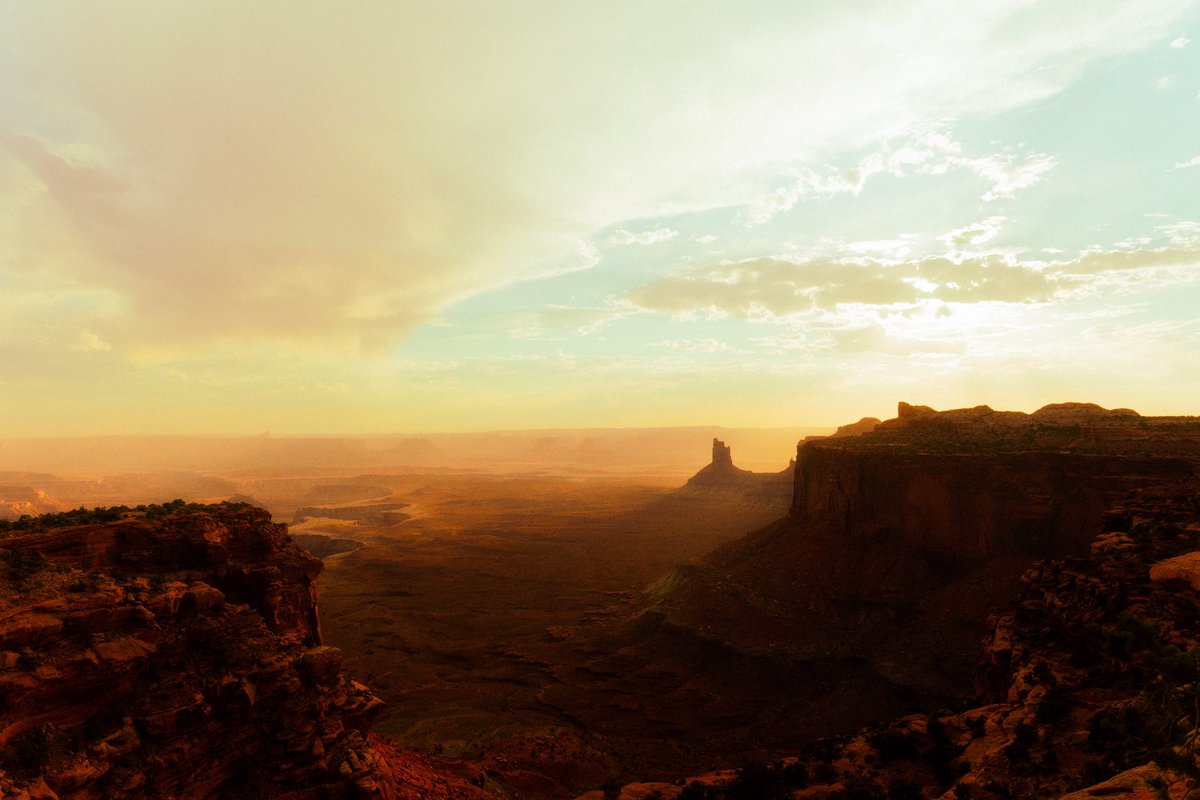 alexxhinson's tweet photo. photos i took in the desert https://t.co/gSBtfGEspr