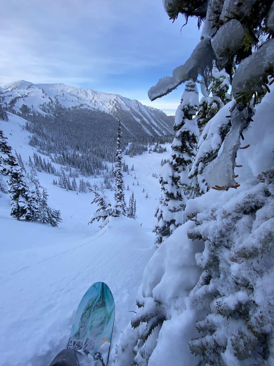 SHRED_ENT's tweet image. Such an amazing weekend sled boarding in the purcells and opening day @KickingHorseMtn @wiredsnow @FluxBindings @HMSCHL #wiredsnowboards #reconseries #kickinghorse #kootrocks