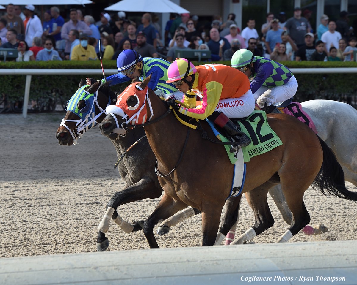 A thrilling finish in the Claiming Crown Glass Slipper as SWEET WILLEMINA (7, outside) and Silvestre Gonzalez  just get by OUR FANTASY (12) at the wire Saturday @GulfstreamPark https://t.co/JFmTpBqA4h