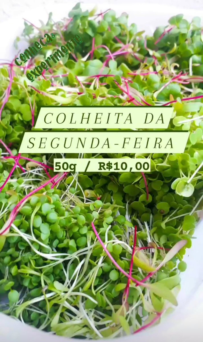 eng_glaucio's tweet photo. MIX de MICROVERDES (Rabanete, Agrião, Rúcula)
#microverdes #organico #microgreens @Microverdes https://t.co/MwhGJ1AJoV
