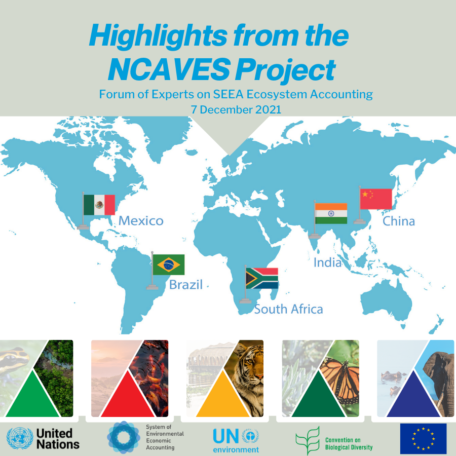 UNStats's tweet photo. Earlier this year, UN Secretary General urged countries to begin implementing the SEEA Ecosystem Accounting.
Learn how 5 countries are ahead of the curve with the EU-funded #NCAVES project! 🇧🇷🇨🇳🇮🇳🇲🇽🇿🇦
https://t.co/816DoKGd5W
#makenaturecount
@EU_ENV @EU_FPI @EU_Eurostat https://t.co/jdB2MqYUy2