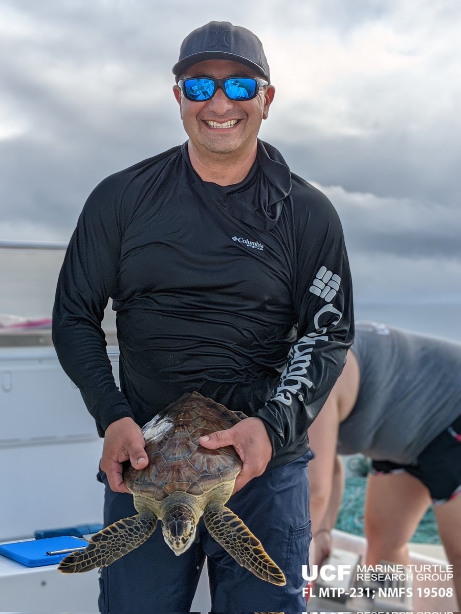 erin_seney's tweet image. Beautiful day on the #IndianRiverLagoon today, but we never got the #UCFTurtleLab tangle net set due to persistent code Ms (🐬). We weren&apos;t totally skunked thanks to @Frankodtanko. He dip-netted this little #GreenTurtle, which was measured, sampled, tagged, &amp;amp; released. 📸:E Seney