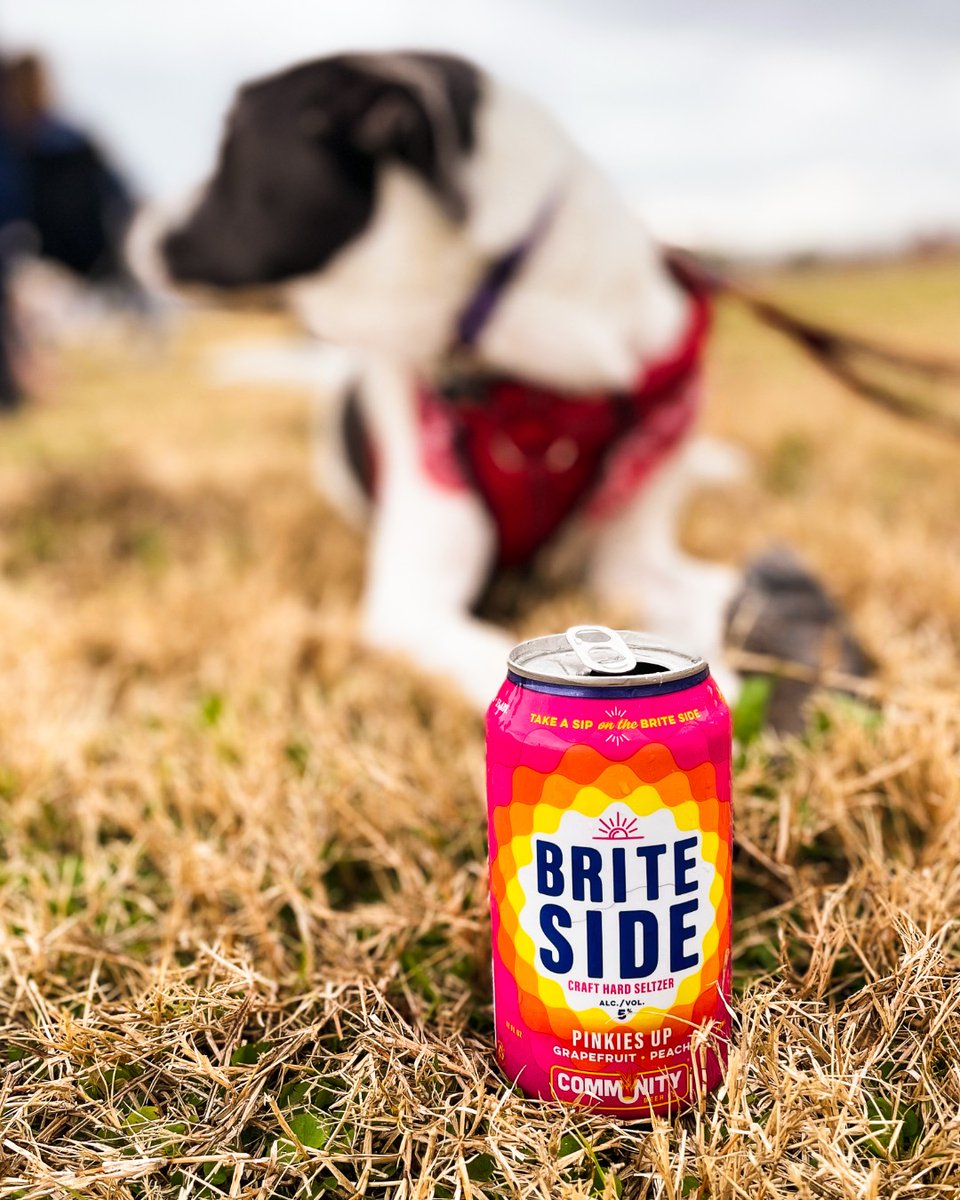 BriteSideSELTZR's tweet photo. Best friend, check. Brite Side, check. #TakeASipOnTheBriteSide #BriteSideHardSeltzer #BriteSide #HardSeltzer #SpikedSeltzer #CraftBeer #Brewery @CommunityBeerCo https://t.co/G6Xz04VnkW