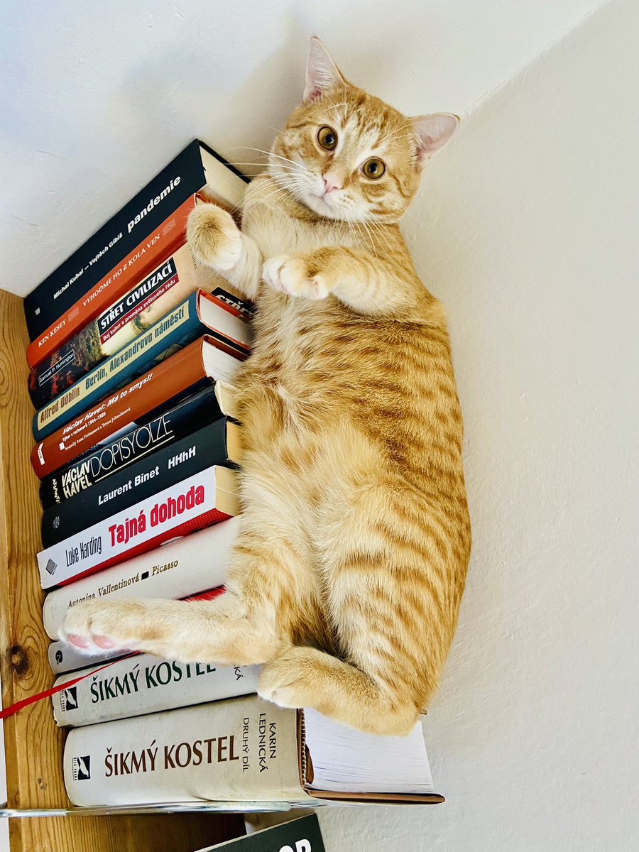 EvaProcash's tweet photo. @CatWorkers 
@JeffBezos’ first employee 📚 https://t.co/ZTr51Edtlq