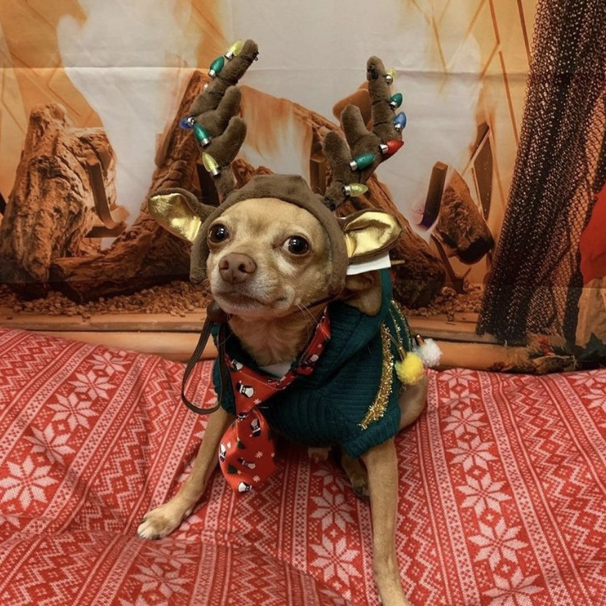 Bayfair Center tweet media