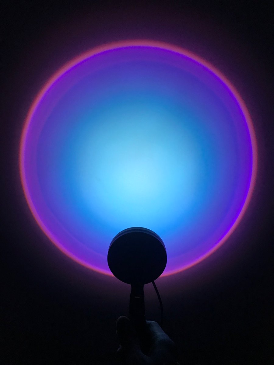 vish🪄 tweet media