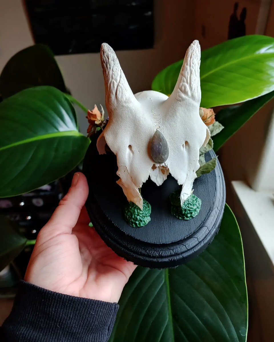 BonesGrateful's tweet photo. @freespiritnell Hi there! I create oddities and resin work! Always ethical :) https://t.co/51pK9bPHGf