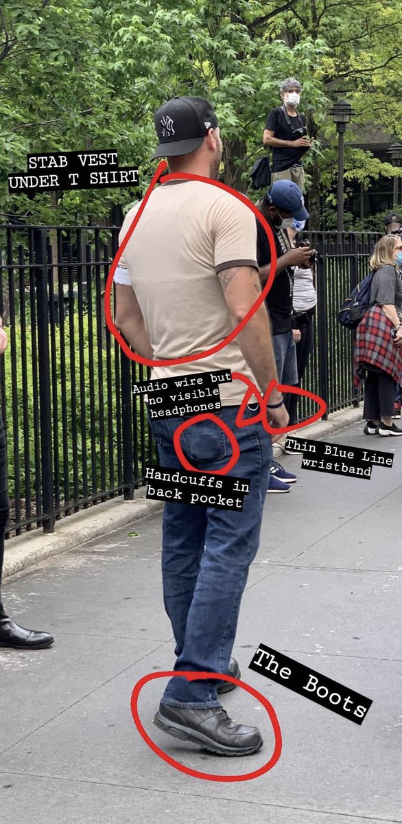 owilli_'s tweet image. 