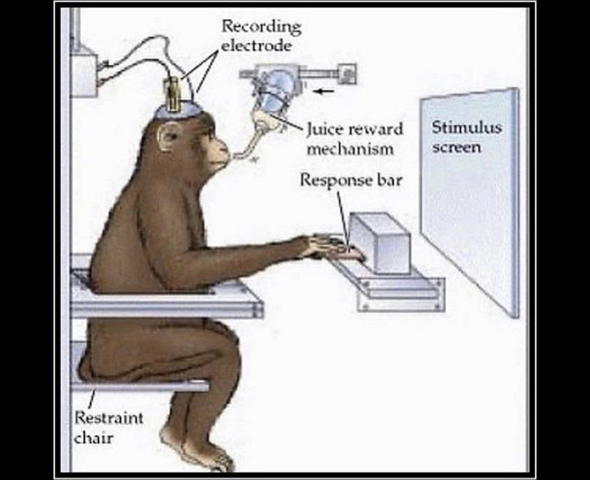 ajwilson65's tweet photo. me working on my essay https://t.co/islx1Nzld0