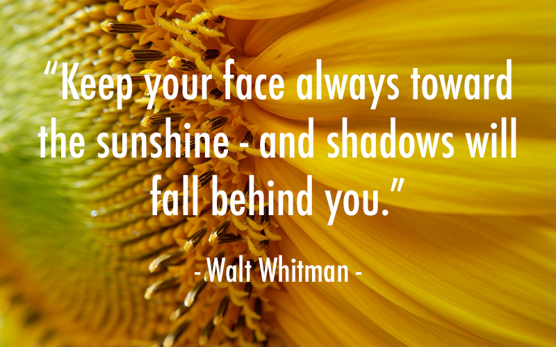 YMCA Blue Water Area tweet media