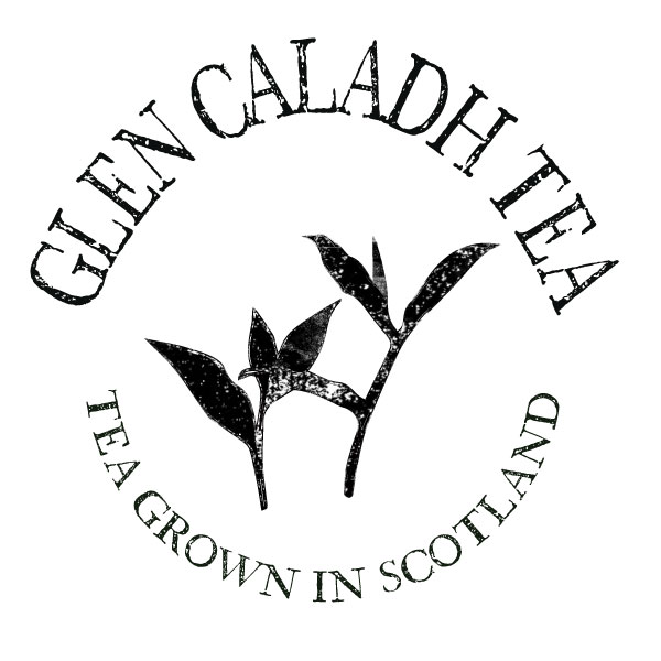 Islaytweets's tweet photo. Ooh look a twitter account I haven't seen for a couple of years! Ahem, well y'know never a dull moment at the farm and the digital world tends to fade out... BUT #glencaladhtea site is now live! Read about #Scottishgrowntea and our new rare black tea!
@TeaScotland #rareteas https://t.co/dXhr9oGpOR