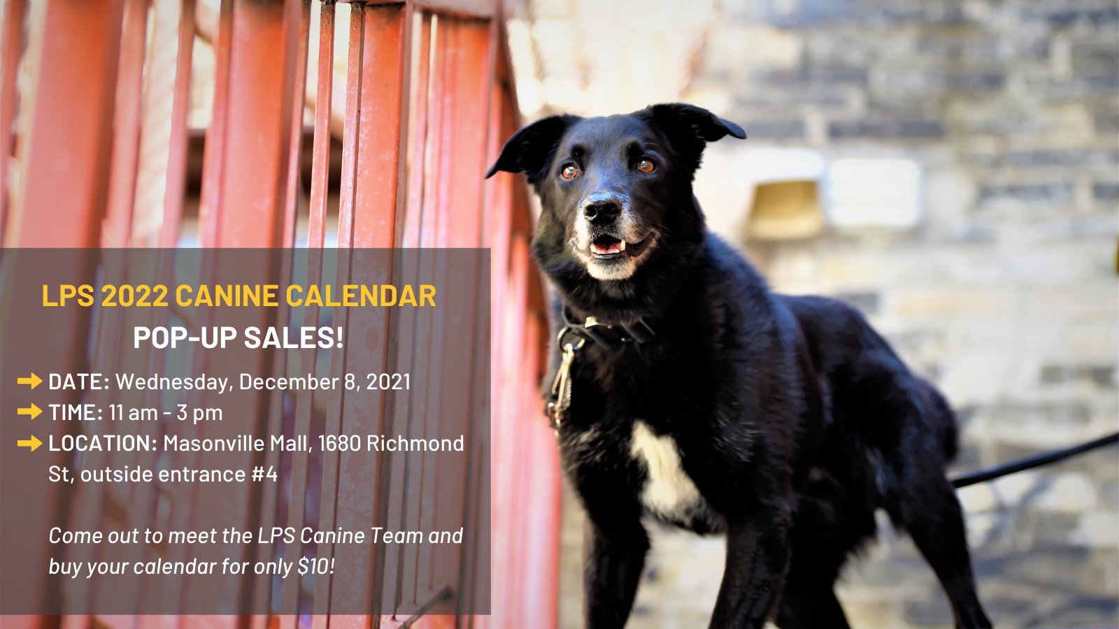 Lps 2022 Calendar London Police Service On On Twitter: "Have You Purchased A 2022 Lps Canine  Calendar Yet? We Have Another Pop-Up Sale At Masonville Mall On Wednesday  From 11 Am – 3 Pm. You'll