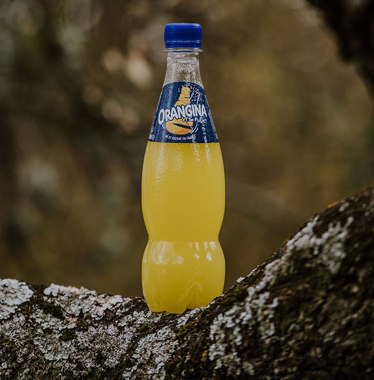 plasticstoday's tweet photo. Race is on for commercialization of plant-based plastic bottle: Suntory Group has created a prototype plant-based #Orangina bottle; @CocaCola said its 100% plant-based bottle is ready for commercial-scale production https://t.co/FR6xMsmf6a https://t.co/7PcjSsUudX