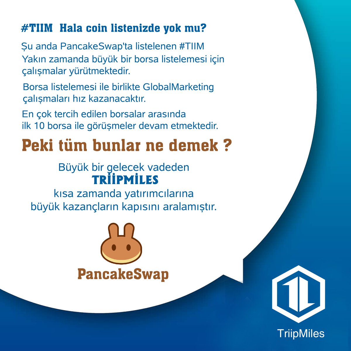 MelihTalhaArsl4's tweet photo. #TIIM #METATRIIP #TRIIPMILES https://t.co/tQqAqVBbOZ