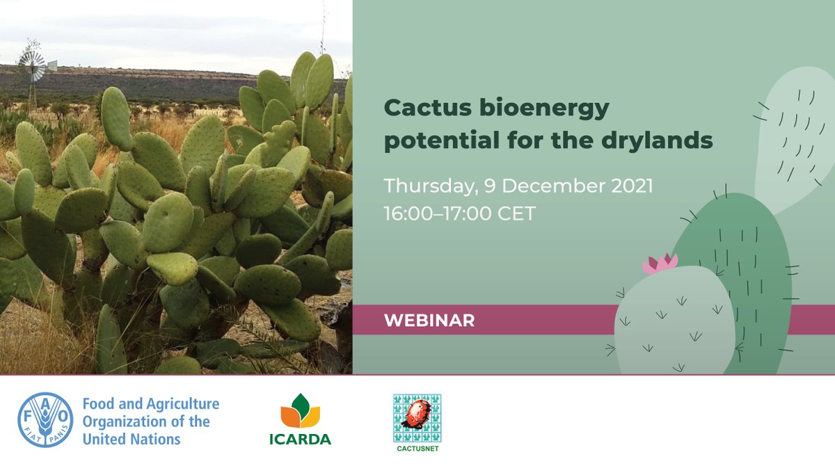 🌵 El nopal se utiliza como alimento y forraje, pero ¿podría este cultivo ser una nueva fuente de energía de biogás para alimentar las tierras secas? 

¡Únete a nuestro seminario web en inglés para más información! 

🗓️9 de diciembre de 2021
🕟16:00 CET

📝bit.ly/3Ijawwu