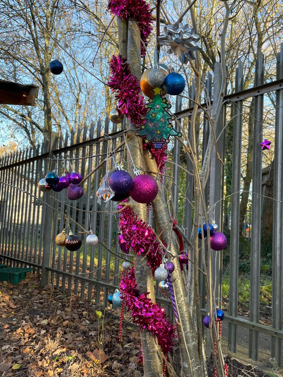 potleyprimary's tweet photo. It’s beginning to look a lot like Christmas at Potley Hill with decorations inside and outside! #NationalTreeWeek #treedressing @woodlandtrust https://t.co/CgBSXseQLz